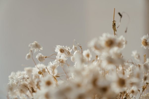 Clematis & Jasmine Wedding Bouquet